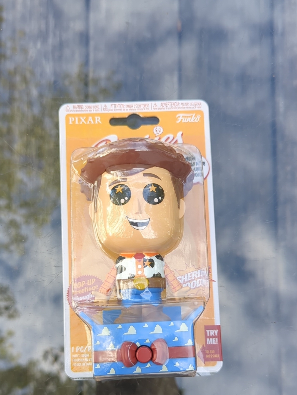 Disney Pixar Woody Funko Posies New